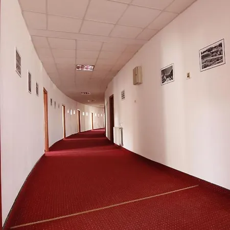 ホテル Tineretului 3*